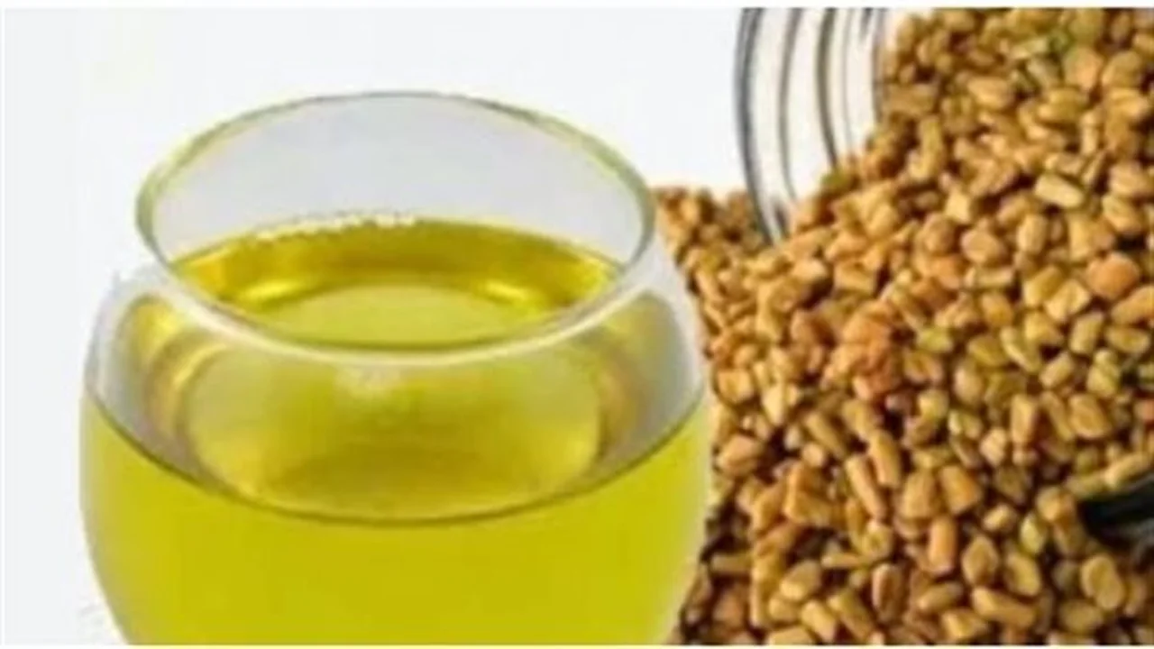 أسلحة طبيعية.. كيف تساعد الروزماري والمورينجا والزنجبيل في امتحانات الثانوية؟